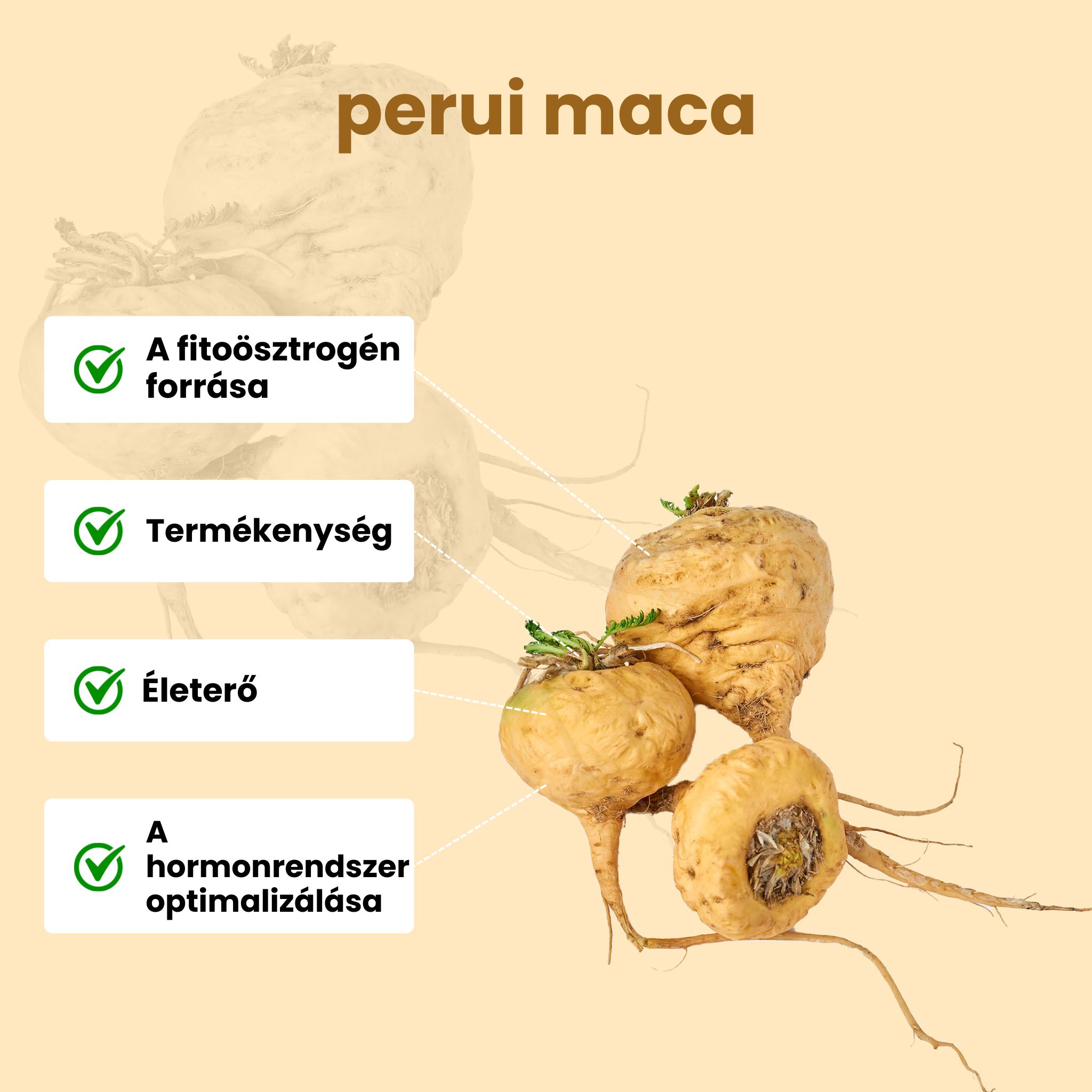 (Maďarština) Maca peruanska